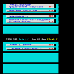 P. 300